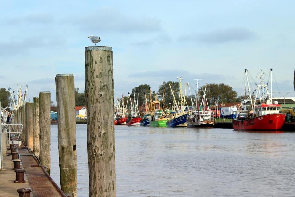 Momme Lägenhet Büsum Exteriör bild